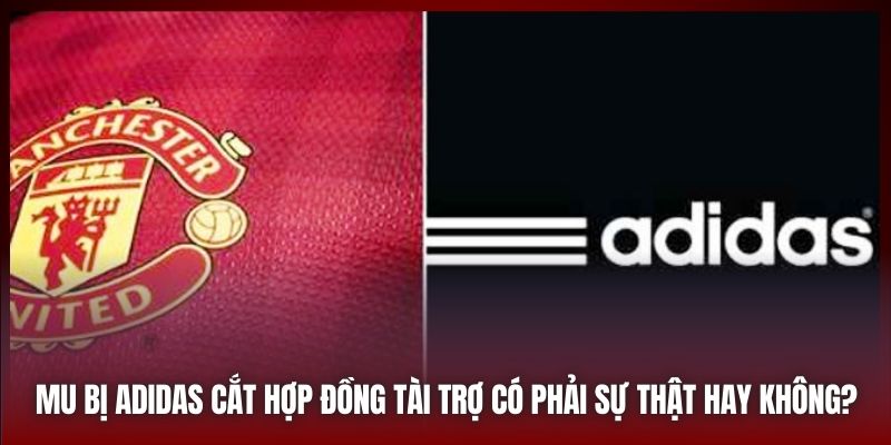 MU Bị Adidas Cắt Hợp Đồng Tài Trợ Có Phải Sự Thật Hay Không?