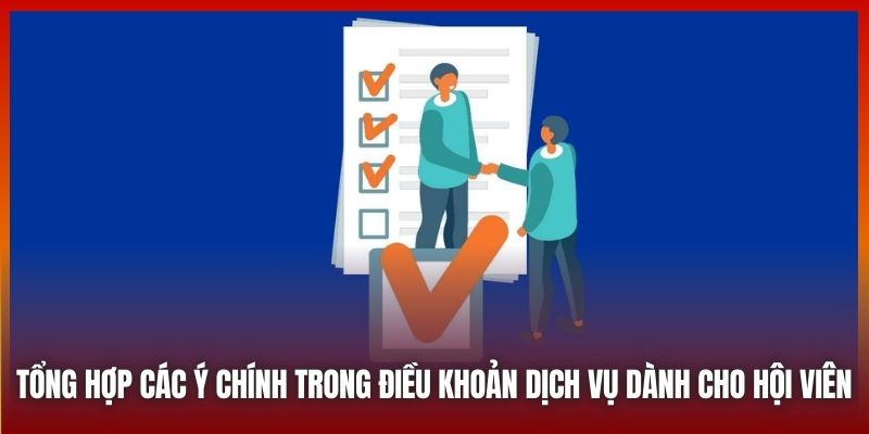 Tổng hợp các ý chính trong Điều khoản dịch vụ dành cho hội viên